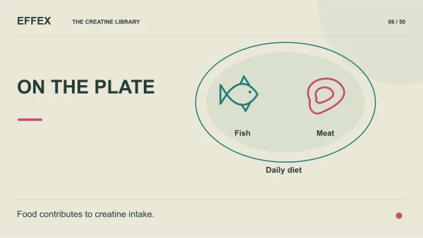 On the plate. Fish, Meat, Daily diet. Food contributes to creatine intake.