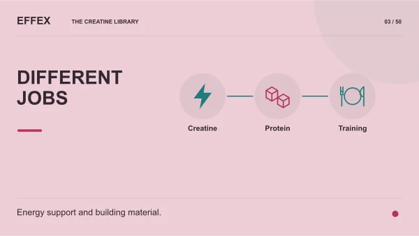 Different jobs. Creatine, Protein, Training. Energy support and building material.