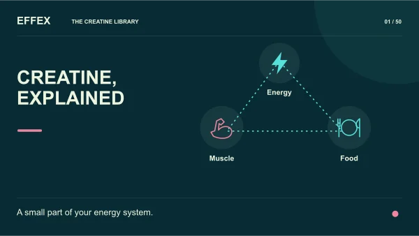 Creatine, explained. Energy, Muscle, Food. A small part of your energy system.